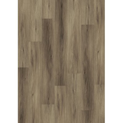 Joka DESIGN 555 2,5mm/NS 0,55mm Dryback   5311 Cinnamon Oak   Klebe-Variante  17,78x121,92