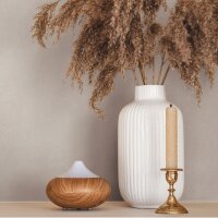36424 Tapeten Marburg Whisper beige braun Vliestapete