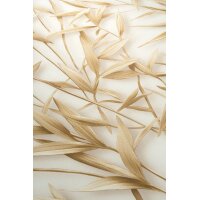Erismann 10587-11 Pure Harmony Vliestapete Blättermotiv Braun Modern