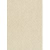 Erismann 10589-02 Pure Harmony Vliestapete Grafik Beige Modern