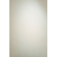 Erismann 10589-14 Pure Harmony Vliestapete Grafik Creme Modern