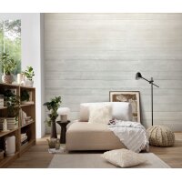 Erismann 22104-07-01 Pure Harmony Vliestapete Fototapete Grafik Taupe Modern