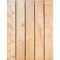 Jordan Robinie Terrassendiele 22 x 120 x 3000 mm –...