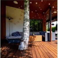 Jordan Thermo-Esche Terrassendiele 20 x 132 x 3600 mm...