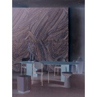 SW3012-1 Decoprint Wallcoverings Scenic Walls  Greige  Digitaldruck Vlies