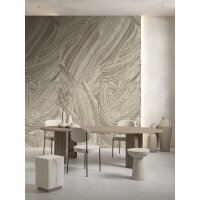 SW3012-2 Decoprint Wallcoverings Scenic Walls  Taupe  Digitaldruck Vlies