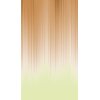 SW3018-2 Decoprint Wallcoverings Scenic Walls  Orange  Digitaldruck Vlies