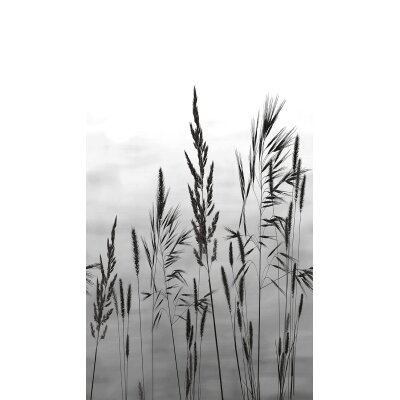 SW3030-1 Decoprint Wallcoverings Scenic Walls  Weiß  Digitaldruck Vlies