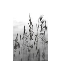 SW3030-1 Decoprint Wallcoverings Scenic Walls  Weiß...