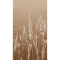 SW3030-2 Decoprint Wallcoverings Scenic Walls  Terrakotta...
