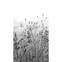 SW3032-1 Decoprint Wallcoverings Scenic Walls  Blau...