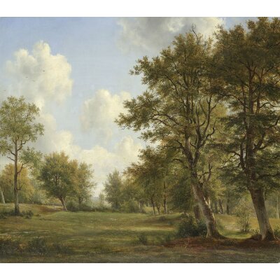SW3033-1 Decoprint Wallcoverings Scenic Walls  Mehrfarbig Bunt Digitaldruck Vlies