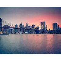 SW3048-1 Decoprint Wallcoverings Scenic Walls  Mehrfarbig...