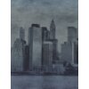SW3050-1 Decoprint Wallcoverings Scenic Walls  Blau Digitaldruck Vlies