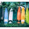 SW3053-1 Decoprint Wallcoverings Scenic Walls  Mehrfarbig Bunt Digitaldruck Vlies