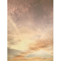 SW3055-1 Decoprint Wallcoverings Scenic Walls  Goldene...