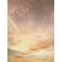 SW3055-1 Decoprint Wallcoverings Scenic Walls...