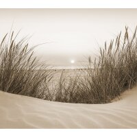 SW3057-2 Decoprint Wallcoverings Scenic Walls  Mehrfarbig...