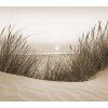 SW3057-2 Decoprint Wallcoverings Scenic Walls  Sepia  Digitaldruck Vlies