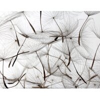 SW3059-1 Decoprint Wallcoverings Scenic Walls  Mehrfarbig...
