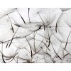 SW3059-1 Decoprint Wallcoverings Scenic Walls  Greige  Digitaldruck Vlies